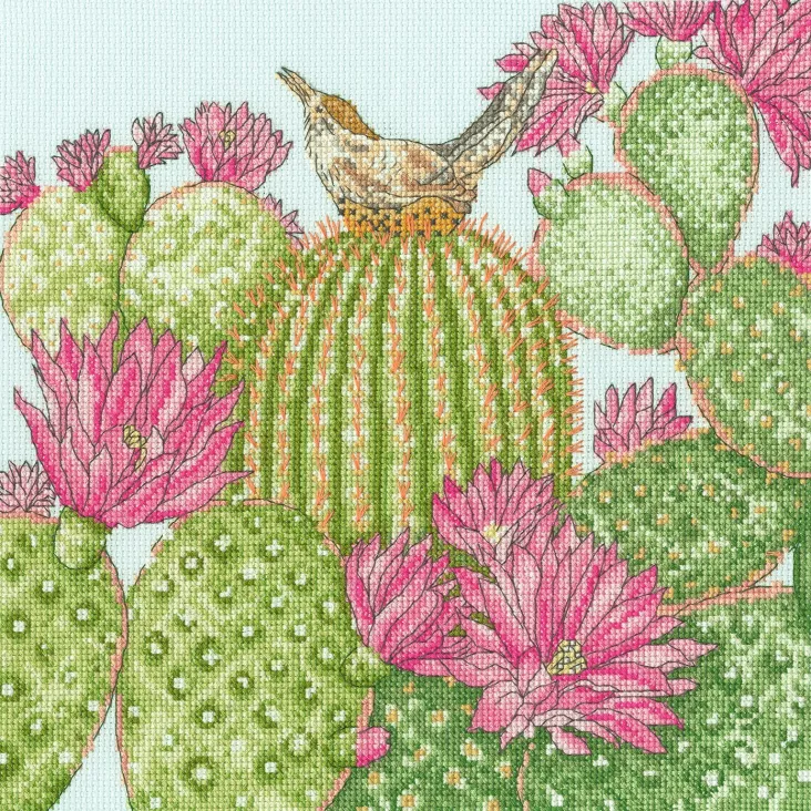 XFY10 Cactus Garden Medium 9a2477fa30177da571c7106459f4aeaa